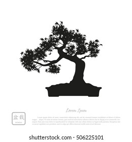 Black silhouette of a bonsai on a white background. Detailed image. Vector illustration