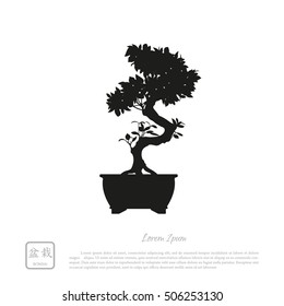 Black silhouette of a bonsai on a white background. Detailed image. Vector illustration