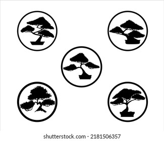 Black silhouette of bonsai Small plant in pot , dwarf trees. Decorative little tree in Bonsai style, hobby, houseplant
