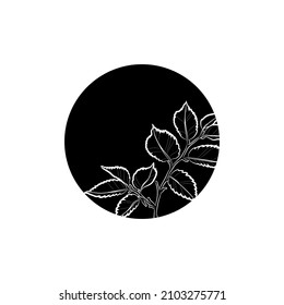 Black silhouette of branch with leaves in black circle. Graphic drawing. Vector illustration.