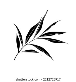 Black silhouette of a branch with leaves on white background. Graphic drawing. Vector illustration.