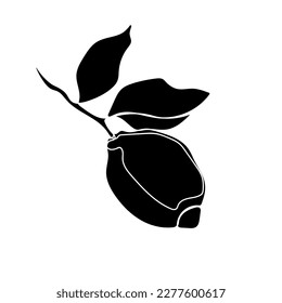 Black silhouette of branch with lemon and leaves on white background. Graphic drawing. Vector illustration.
