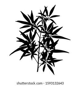 Black Silhouette of a branch of a Plant isolated on a white background. Vector illustration of Tropical leaves to create shadows, backgrounds and logos