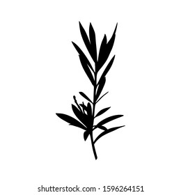 Black Silhouette of a branch of a Plant isolated on a white background. Vector illustration of Tropical leaves to create shadows, backgrounds and logos