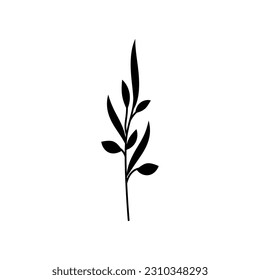 Black silhouette of a branch with a thin stem and leaves. Clipart. Isolated element.	 