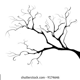 black silhouette of the branch tree on white background