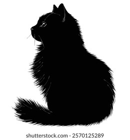 Black silhouette of a British Longhair