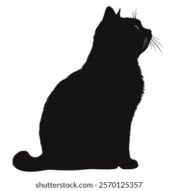 Black silhouette of a British Shorthair