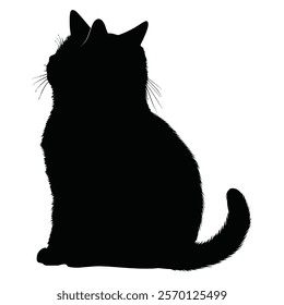 Black silhouette of a British Shorthair