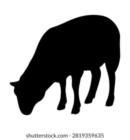 A black silhouette of a buffalo grazing, highlighting its distinctive shape and horns against a plain white background.