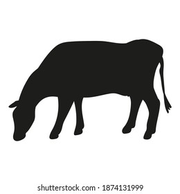 Black silhouette of a bull, cow on a white background