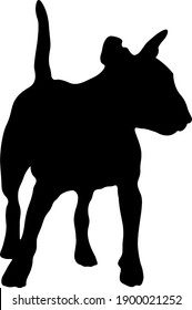 black silhouette of a bull terrier dog on a white background