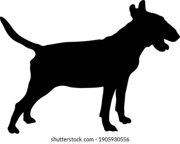 Black silhouette of bull terrier dog isolated on white background. Vector illustration