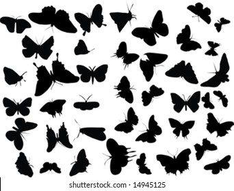 black silhouette of butterfly