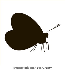 The black silhouette of butterfly is isolated on white background.
