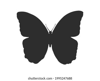 Black silhouette of a butterfly morpho peleides - stock vector