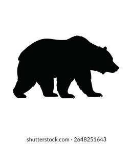 Silhueta preta de um urso grizzly da Califórnia caminhando contra um fundo branco gráfico vetor simples