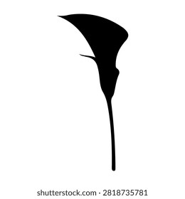 Black silhouette of a calla lily flower, showcasing its graceful curved shape, ideal for floral, botanical, or nature-themed projects.