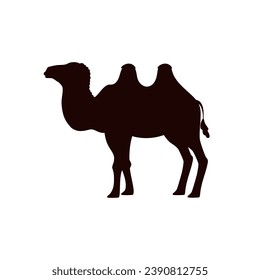Black silhouette of camel desert animal flat style, vector illustration isolated on white background. Simple decorative design element, standing two-humped animal