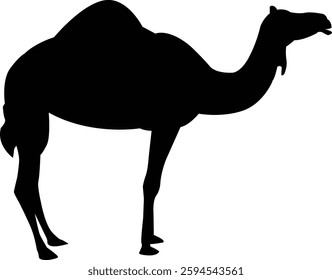 Black Silhouette Camel for Eid Adha