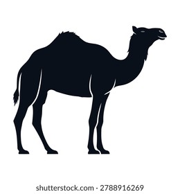 Black silhouette camel standing alone on plain background