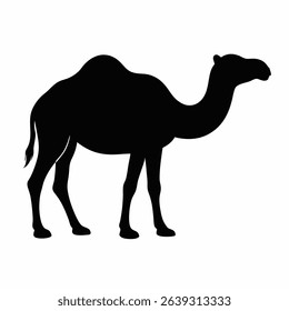 A black silhouette of a camel standing facing right, isolated on a white background
