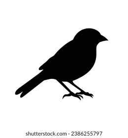 Black silhouette of a Canary vector illustration