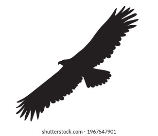 Black silhouette Cartoon flying wild eagle in isolate on a white background. Vector illustration.