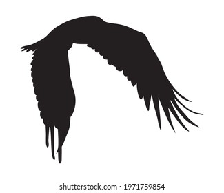 Black silhouette Cartoon flying wild eagle in isolate on a white background. Vector illustration.