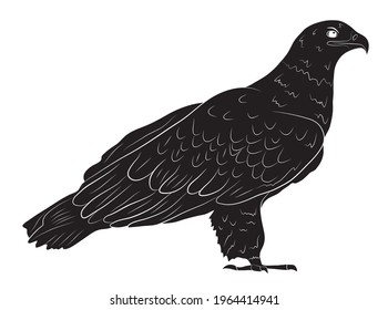 Black silhouette Cartoon  wild eagle in isolate on a white background. Vector illustration.