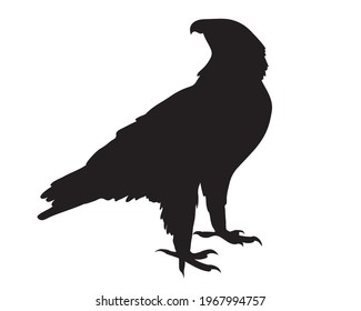 Black silhouette Cartoon  wild eagle in isolate on a white background. Vector illustration.