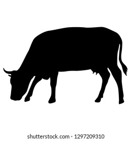 Black silhouette of cash cow on white background