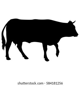 Black silhouette of cash cow on white background.