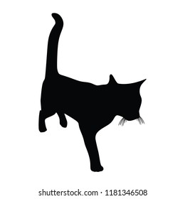 Black silhouette of a cat