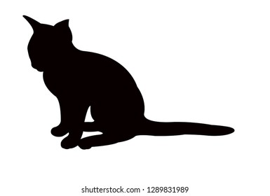 black silhouette of a cat
