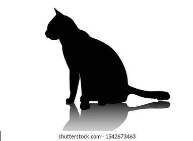 black silhouette of a cat 