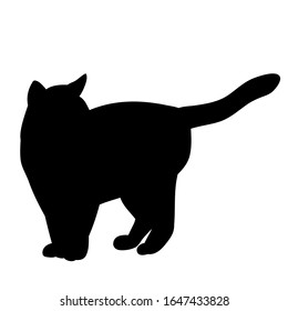 black silhouette of a cat