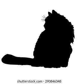 A black silhouette of a cat