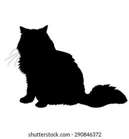 A black silhouette of a cat