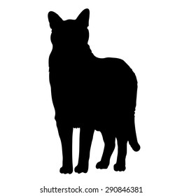 A black silhouette of a cat