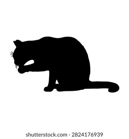 Black silhouette of a cat with aggressive posture and open mouth, emphasizing feline ferocity and wild nature in a minimalistic style.