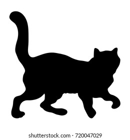 Black silhouette of a cat. Hand drawn. Vector illustration.