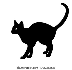 Black silhouette of a cat isolated on white background. The symbol of Halloween. Can be used as a sticker template, logo element, icon for web design. Flat style. Vector illustration.
