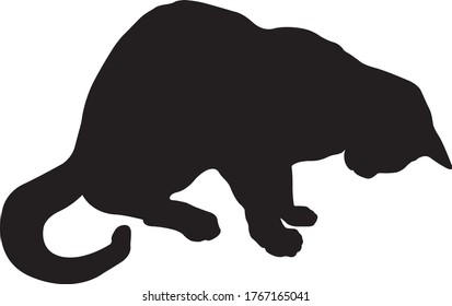 black silhouette of  cat looking something