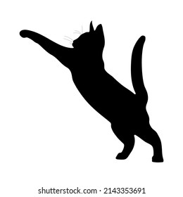 Black silhouette of a cat on a white background. Vector image.