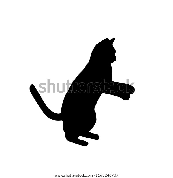 Silhouette Noire D Un Chat Silhouette De Image Vectorielle De Stock Libre De Droits