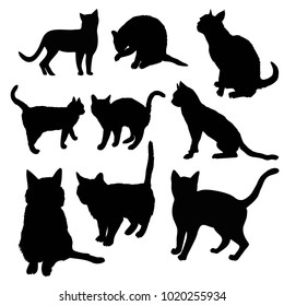 Black silhouette of cat sitting sideways isolated on white background. Vector illustration, icon, clip art.