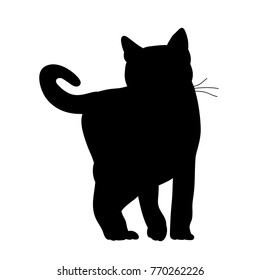black silhouette of a cat is standing