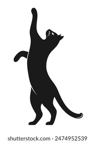 Black silhouette of a cat standing on its hind legs and reaching up. Vector illustration