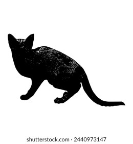 Black silhouette of cat. Vector illustration.